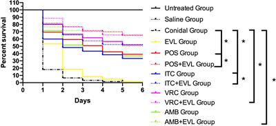 In Vitro Interactions of Antifungal Agents and Everolimus Against Aspergillus Species